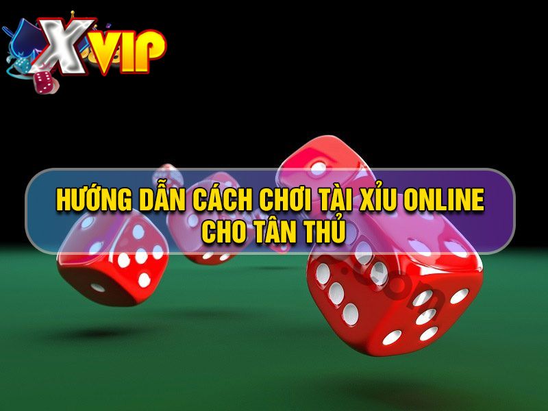 Hướng dẫn chơi tài xỉu online cho các tân thủ