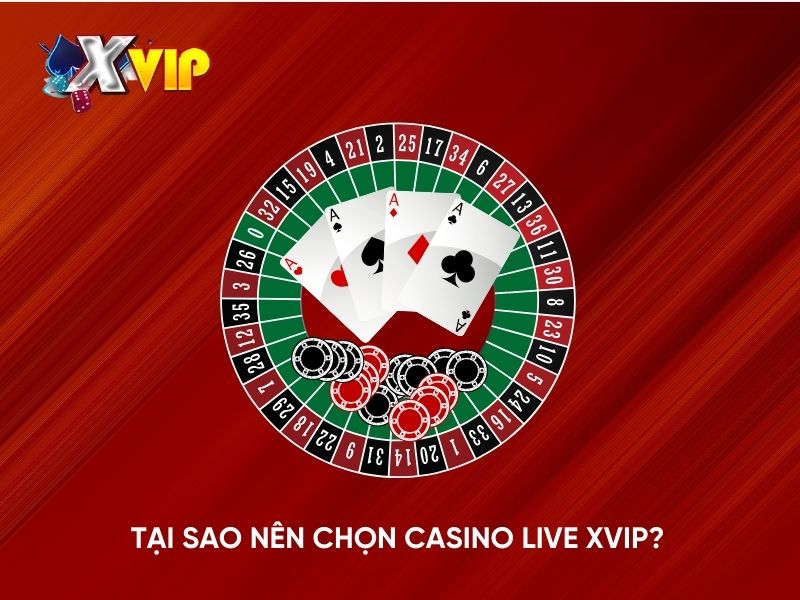 Tại sao nên chọn Casino Live Xvip?